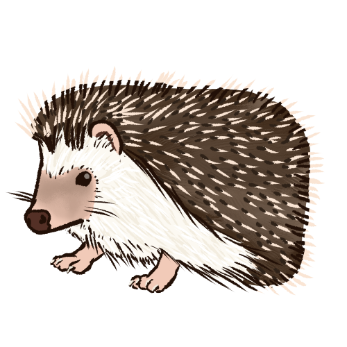a drawing of a hedgehog with white fur, pink-ish legs, a brown nose, and brown quills with tan tips